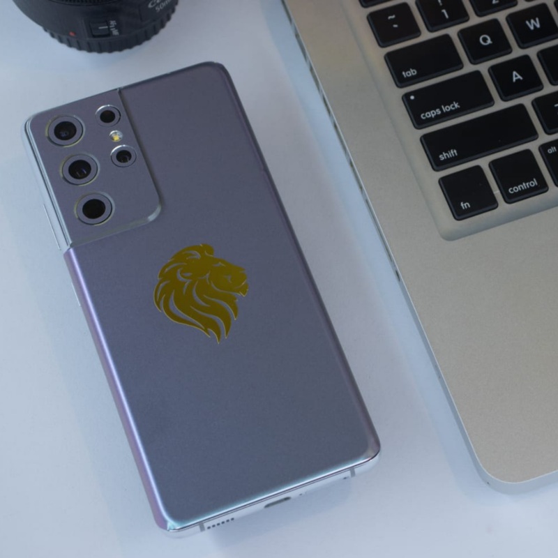 Lion 2 - Golden Concept