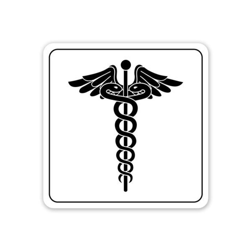 Magical Wing Stick Car Sticker