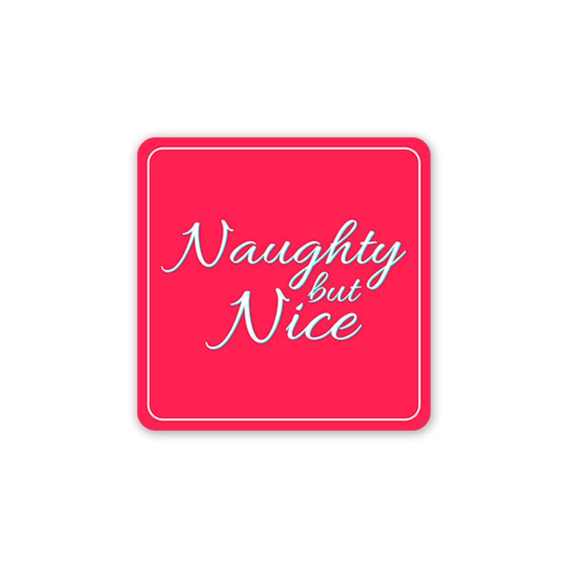 Naughty But Nice Car Sticker