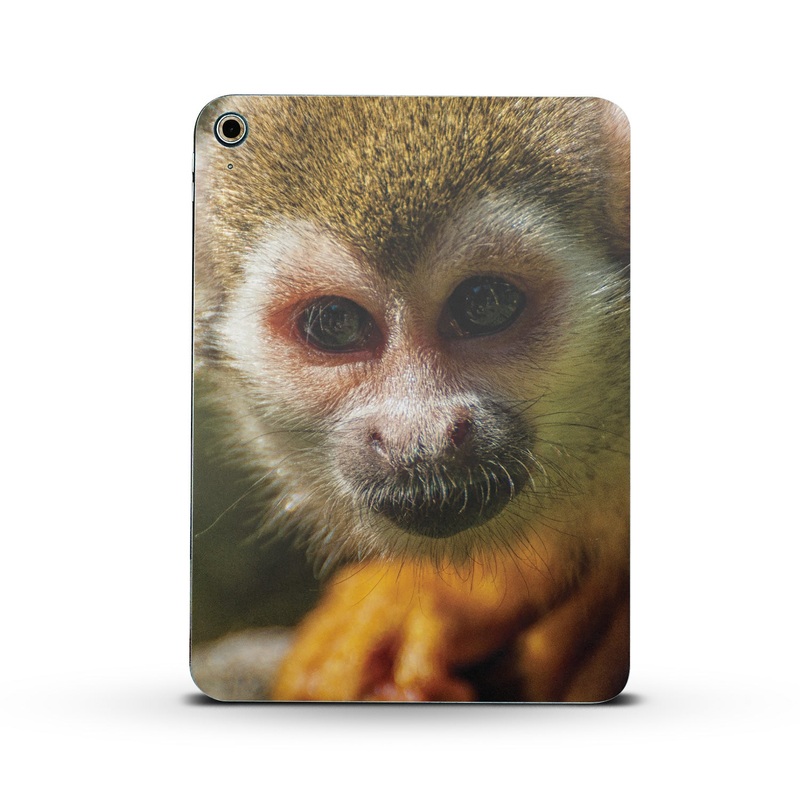 Squirrel Monkey