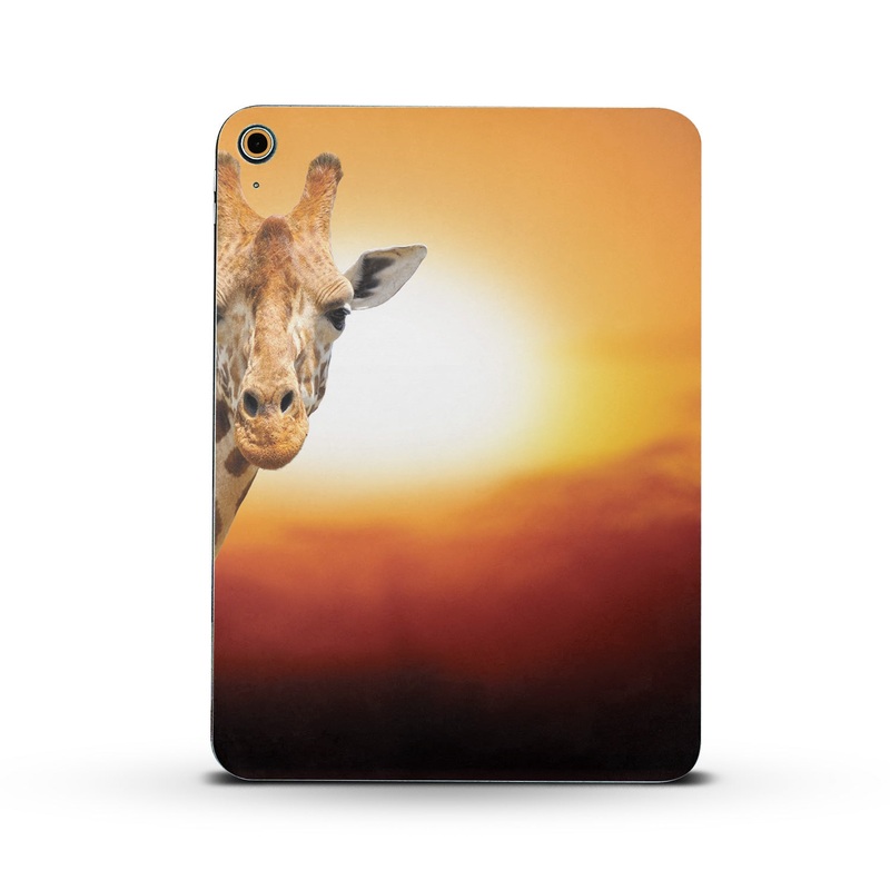 Sunset Giraffe