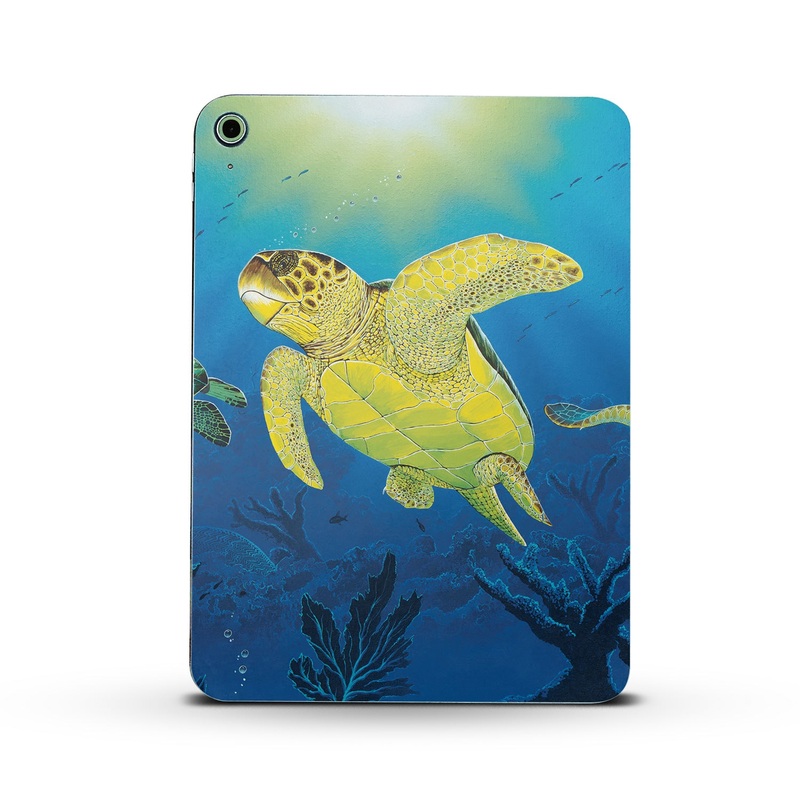 Turtle Dreams