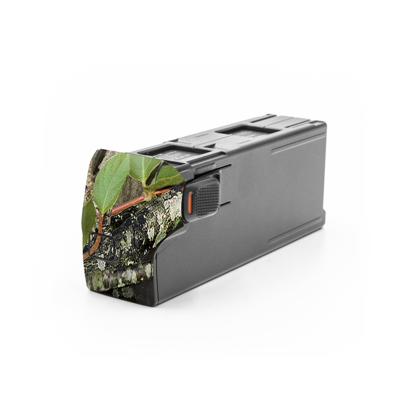 Obsession - DJI Avata 2 Battery Skin