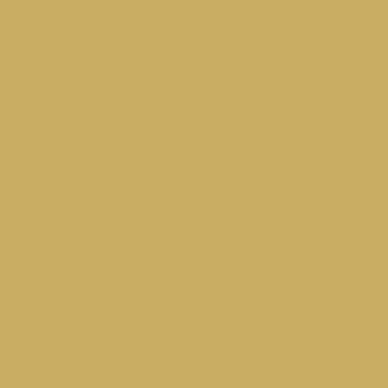 Solid State Mustard - DJI Mini 2 Skin